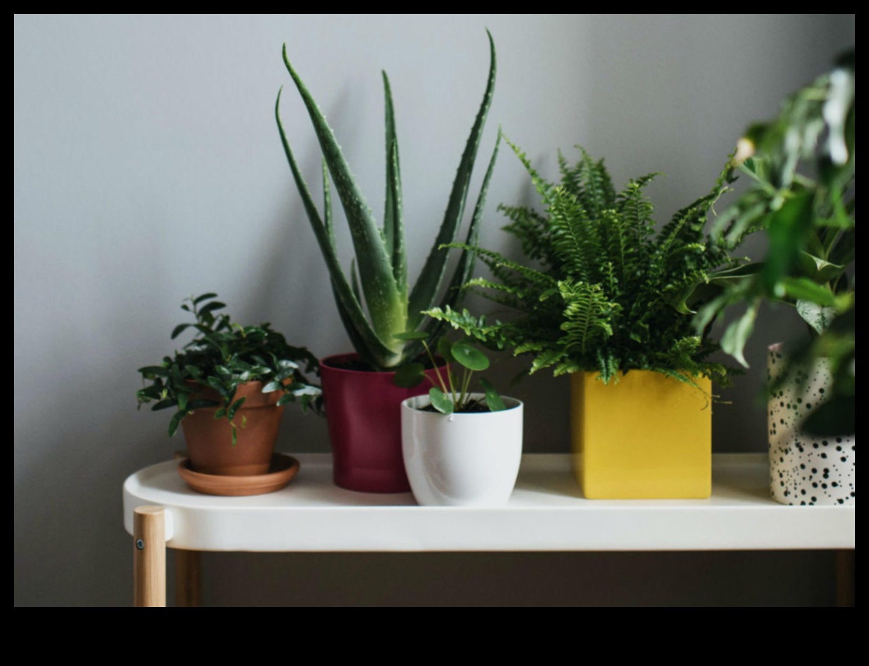 Logu brīnumzeme: iekštelpu dārzkopības burvība