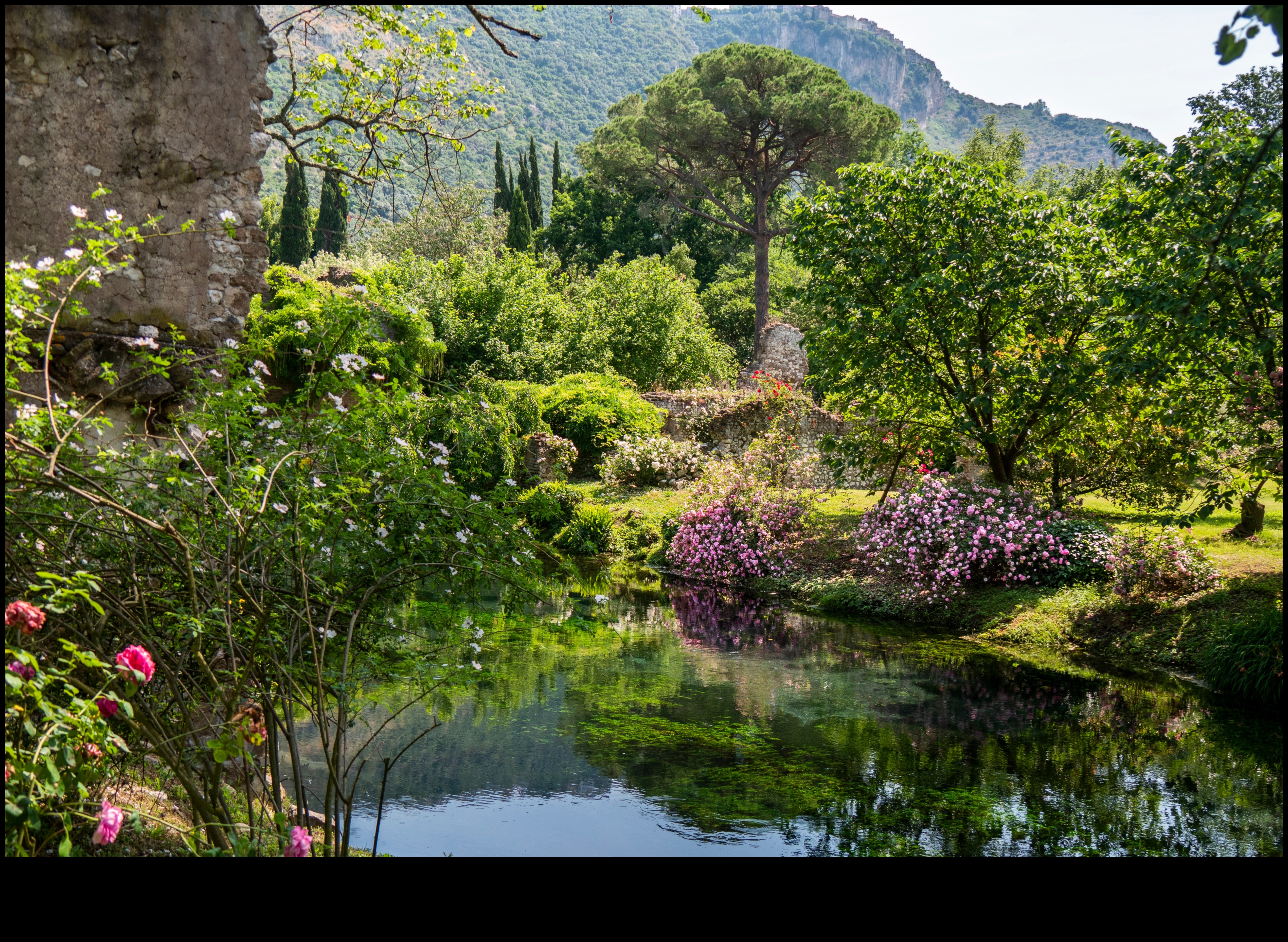 Dabas palete: gleznošanas iedvesma dārza darbnīcās