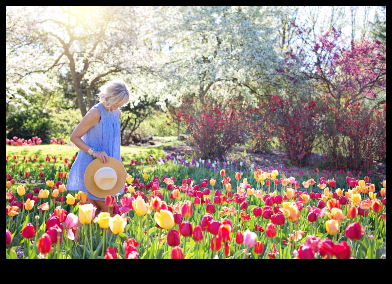 Dabas palete: gleznošanas iedvesma dārza darbnīcās