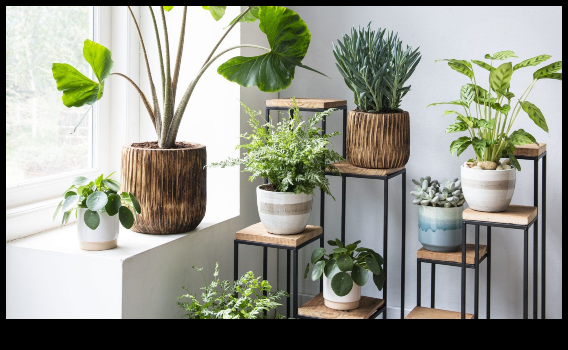 Kā iekļaut augus jūsu mājas dekorā?