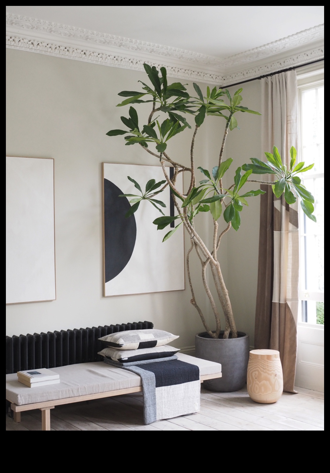 Kā iekļaut augus jūsu mājas dekorā?