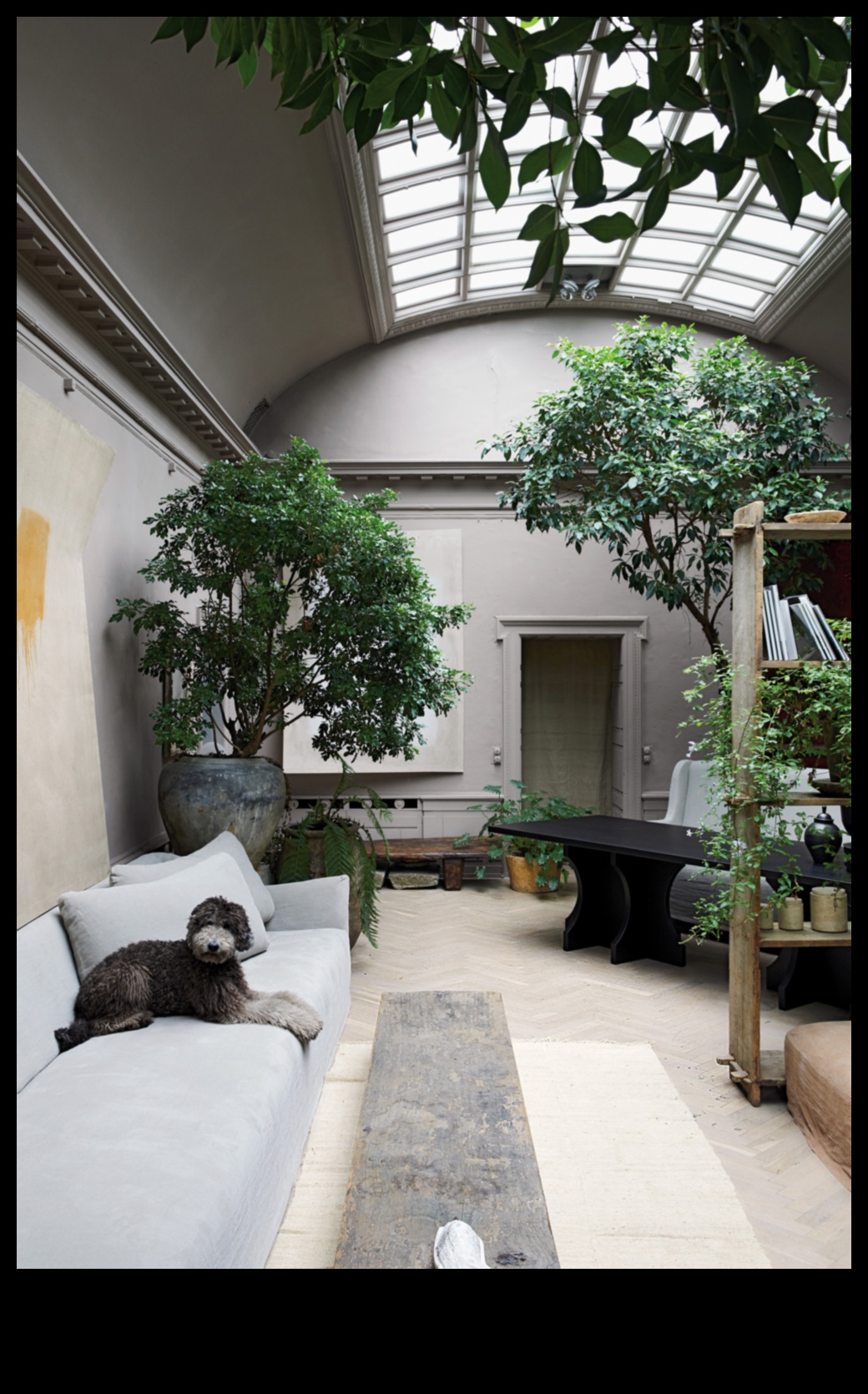 Kā iekļaut augus jūsu mājas dekorā?