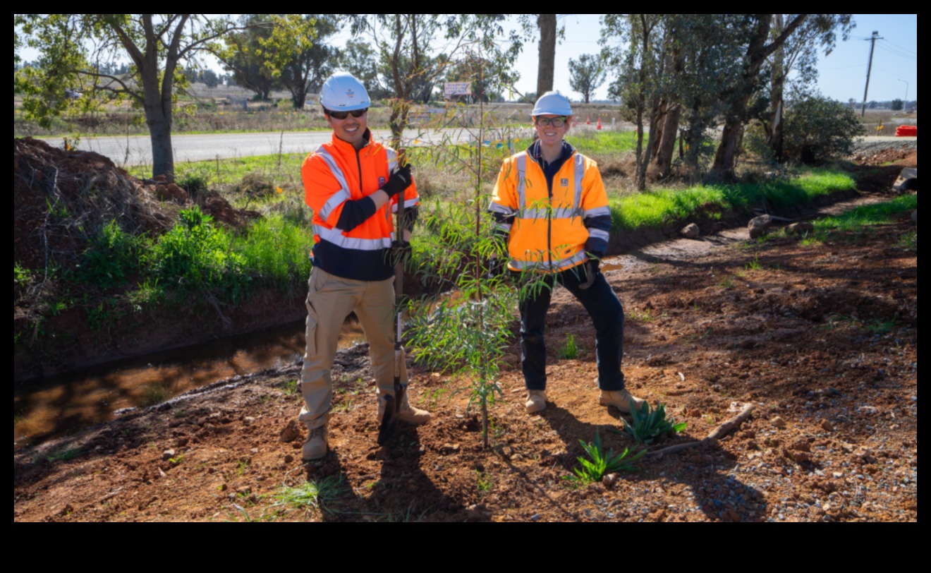 Zaļāk kopā: sadarbības prakse optimālai dārza uzturēšanai