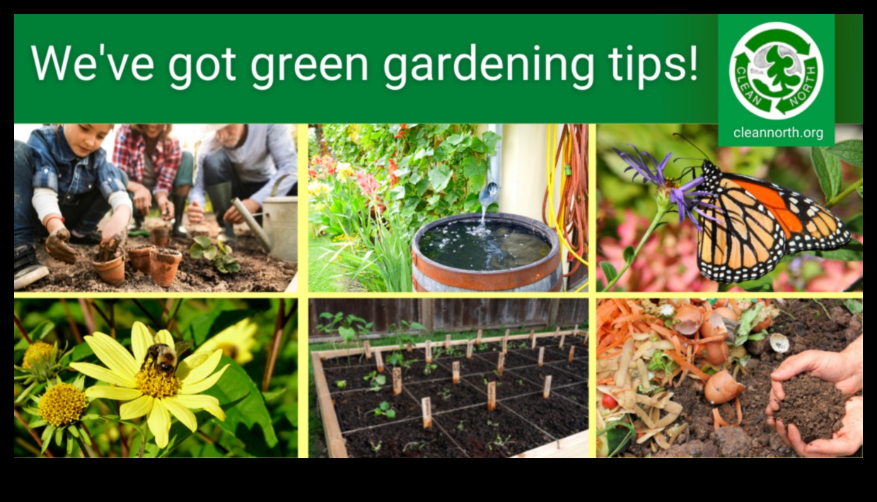 Zaļāk kopā: sadarbības prakse optimālai dārza uzturēšanai