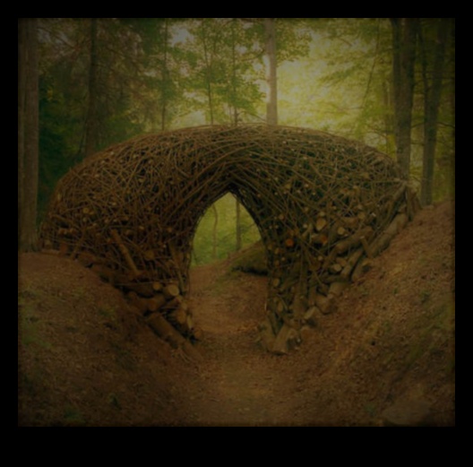 Ekomākslas centieni: vides apziņa modernisma kustībā