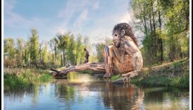 Ekomākslas centieni: vides apziņa modernisma kustībā