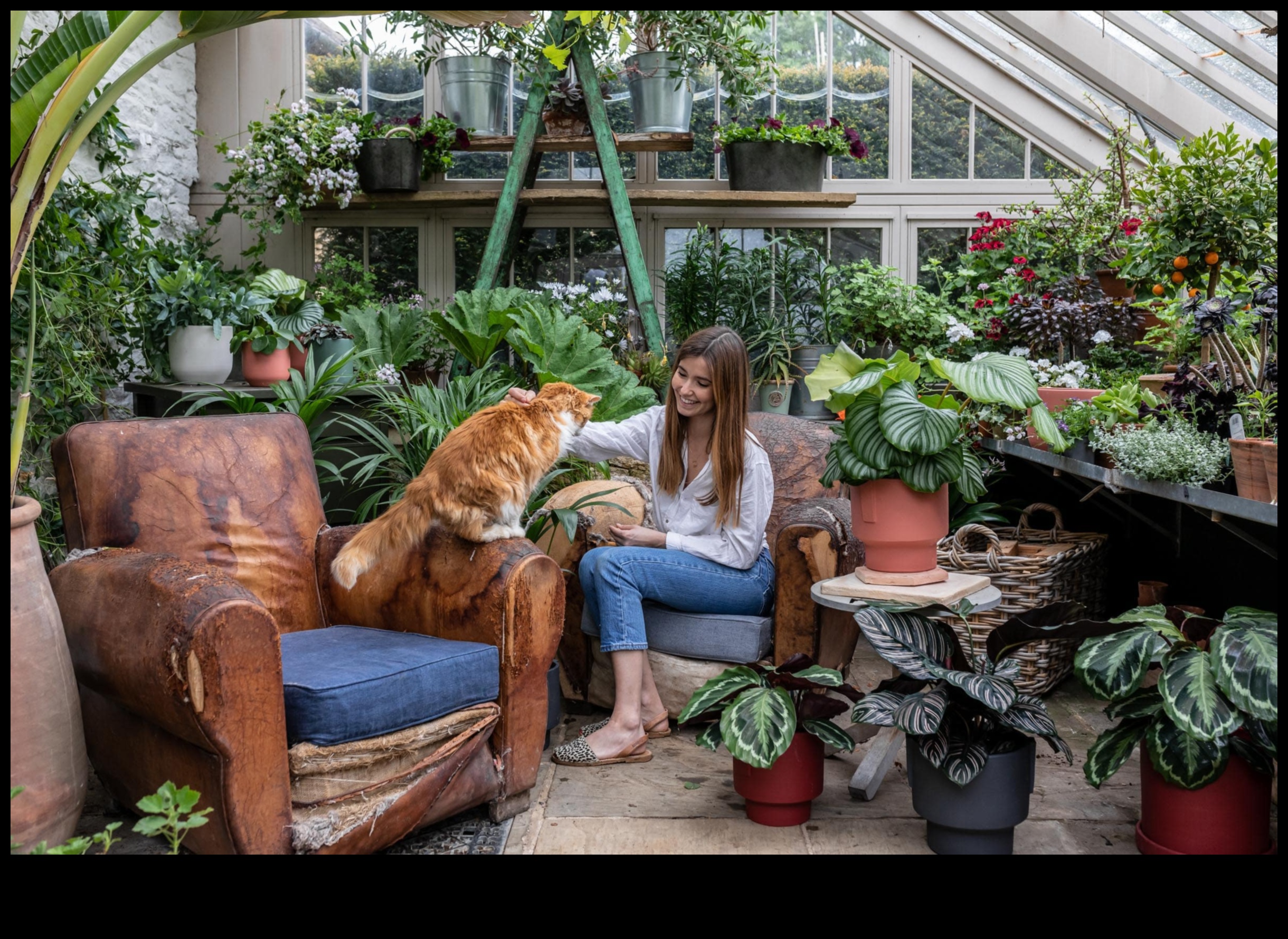 Zaļa dzīvošana iekšā: kopjiet savu māju ar iekštelpu dārziem