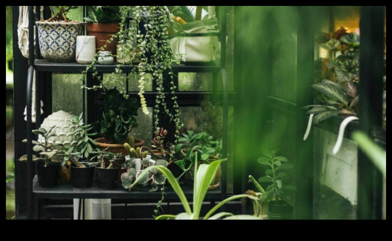 Kabatas izmēra apstādījumi: iekštelpu dārzu prieka atklāšana