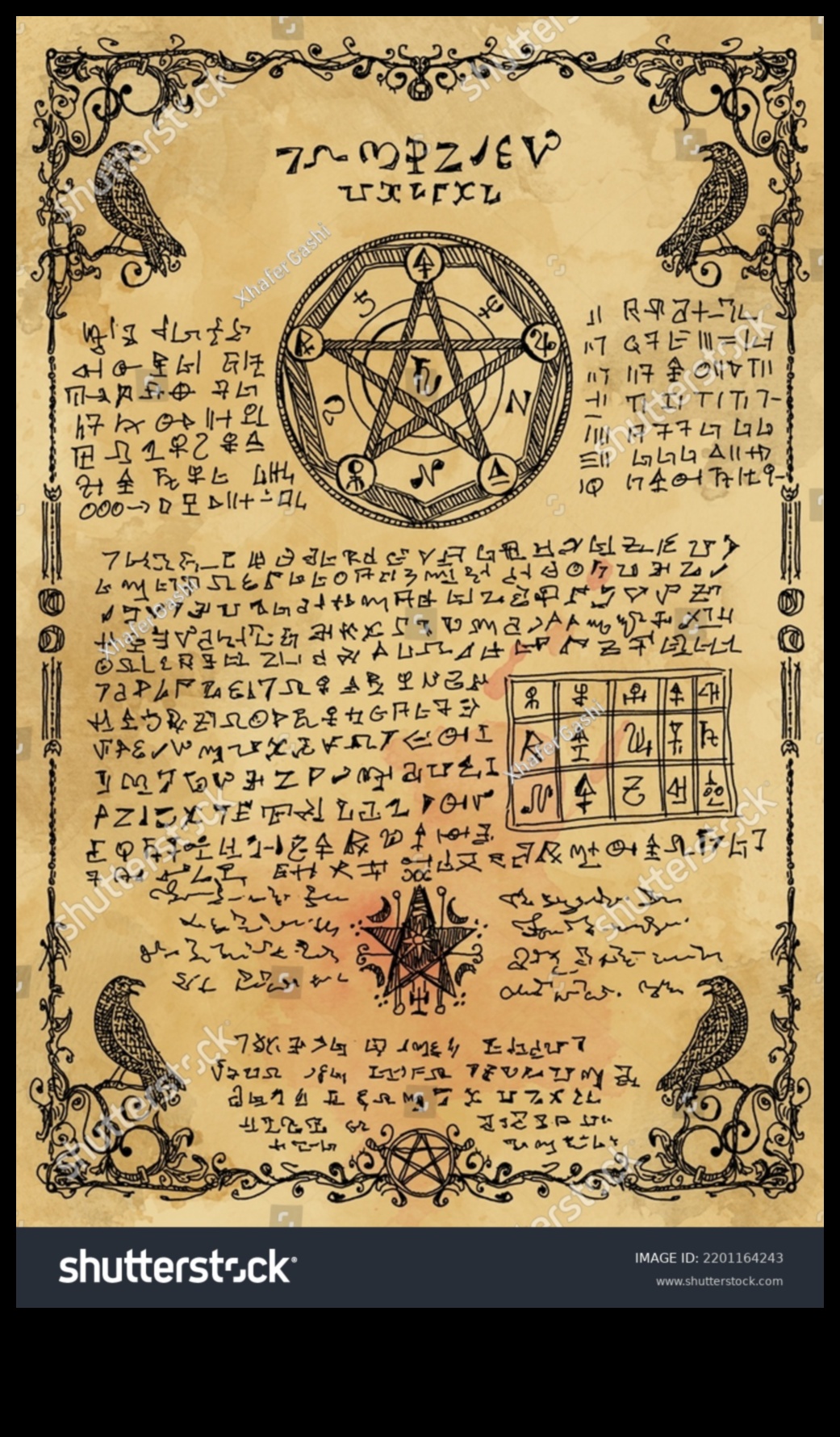 Apburtie pergamenti: viduslaiku rokrakstu ilustrāciju maģija