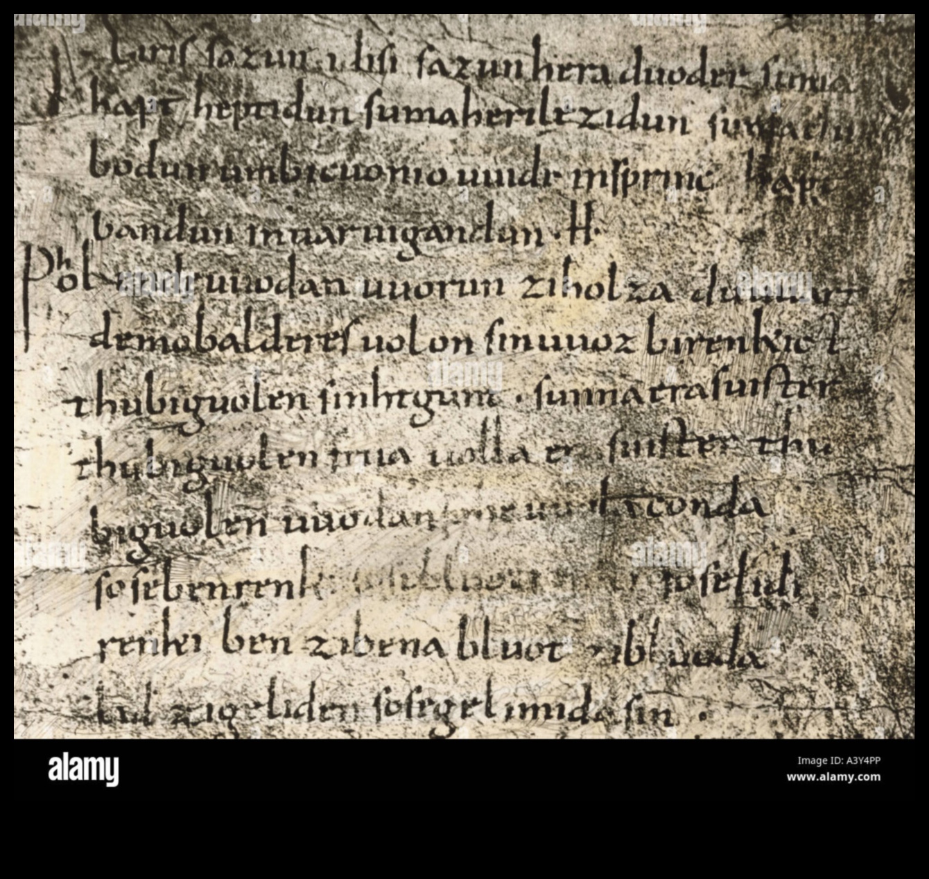 Apburtie pergamenti: viduslaiku rokrakstu ilustrāciju maģija