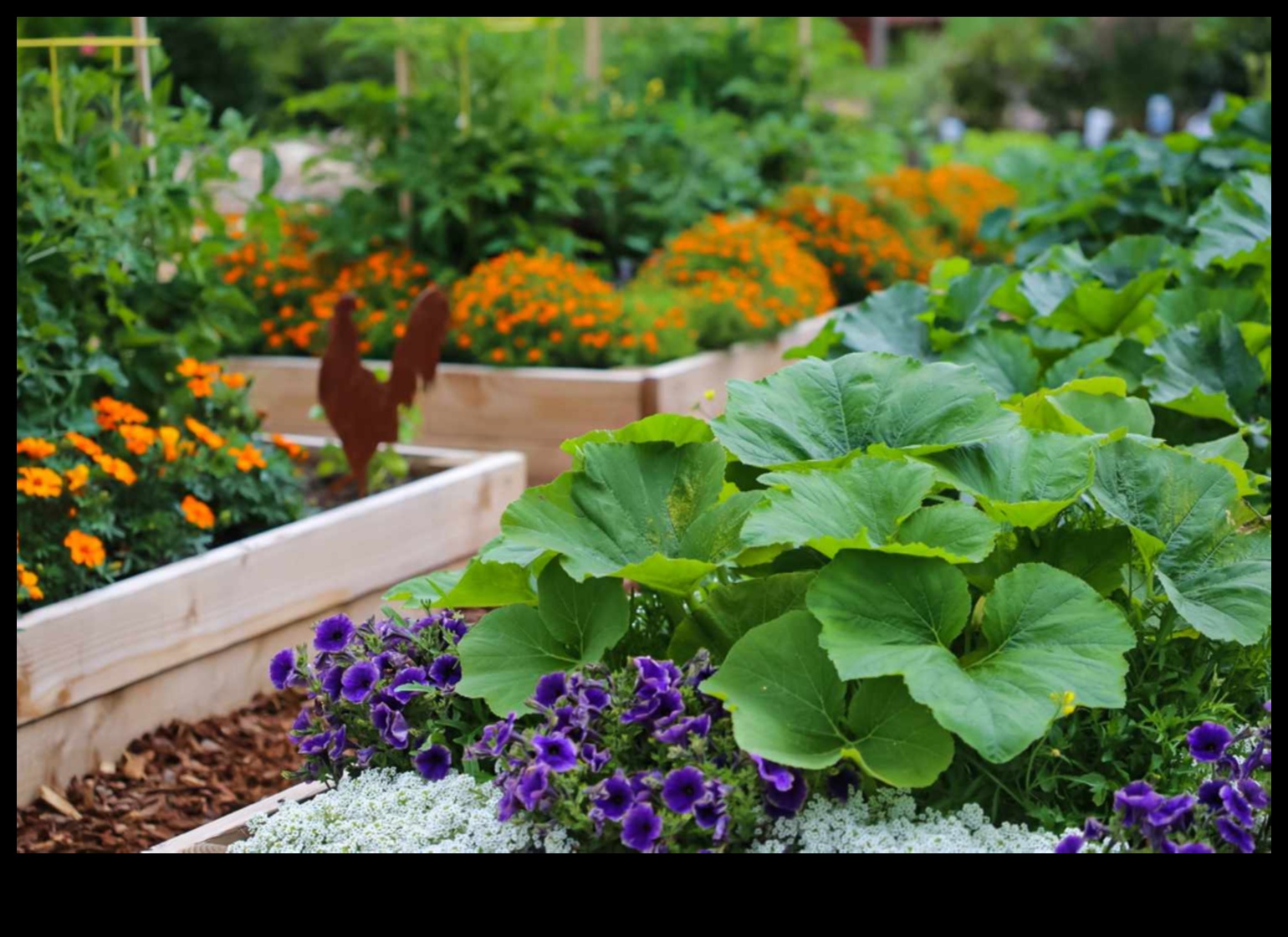 Audzējiet jebkur: plaukstošas ​​pilsētas dārzkopības idejas