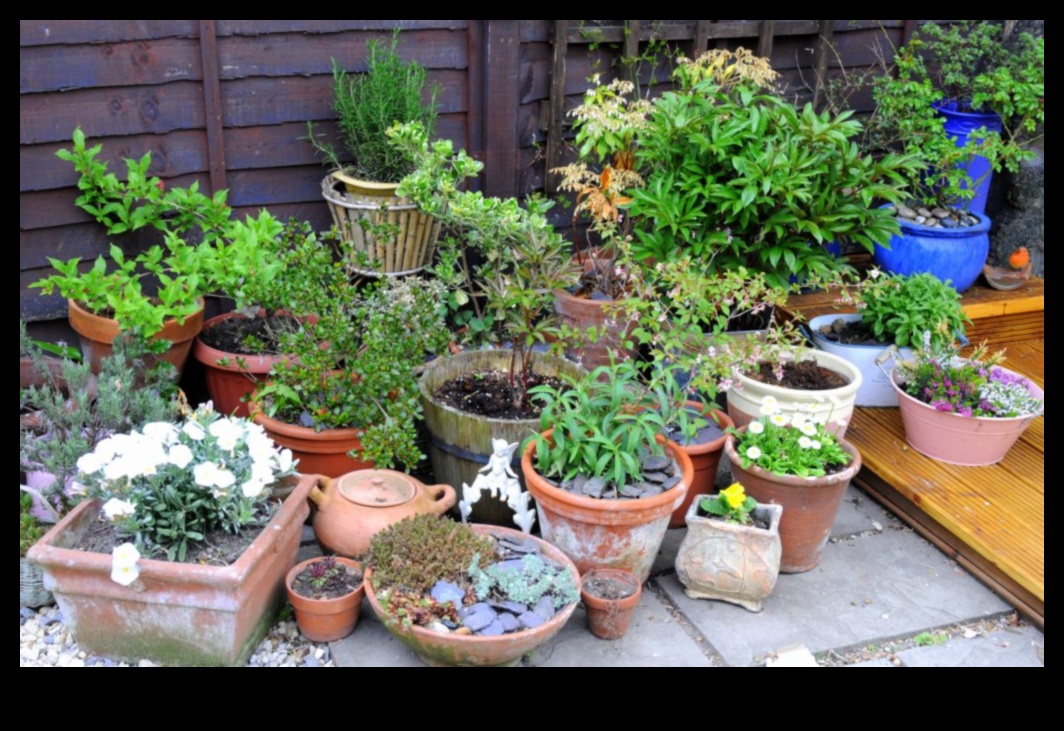 Audzējiet jebkur: plaukstošas ​​pilsētas dārzkopības idejas