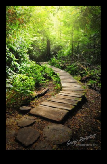 Mierīgas takas: dārza dizaina ceļi uz svētlaimi