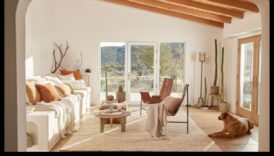 Kādi ir galvenie principi, kas nosaka veiksmīgas dekorēšanas koncepcijas?