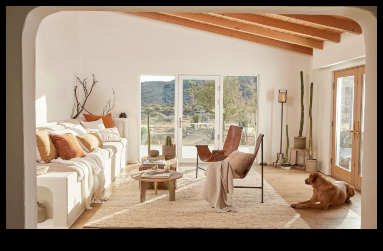 Kādi ir galvenie principi, kas nosaka veiksmīgas dekorēšanas koncepcijas?