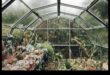 Botāniskais skaistums: ceļojums caur mūsu siltumnīcu