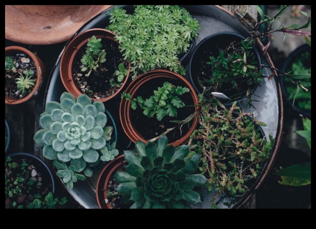 Kabatas izmēra apstādījumi: iekštelpu dārzu prieka atklāšana