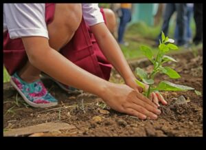 Zaļāk kopā: sadarbības prakse optimālai dārza uzturēšanai
