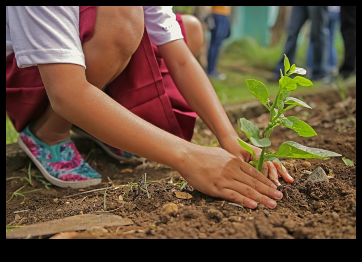 Zaļāk kopā: sadarbības prakse optimālai dārza uzturēšanai